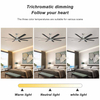 66 Inch Remote Control Smart Big Modern Ceiling Fan With Light KBS-66K002