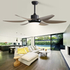 54 Inch Indoor Smart Modern Ceiling Fan With Remote Control KBS-54K002