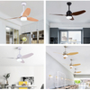 47 Inch Dc Motor Led Bedroom Remote Ceiling Fan With Light