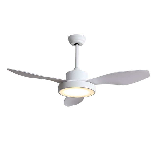  <span style="font-size:20px;">Ceiling Fan With Light</span> 