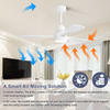 48 Inch Indoor Modern Dc Motor Led 3 Blade Ceiling Fan with Light And Remote