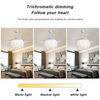 42 Inch Smart Retractable Led Ceiling Fan With Light