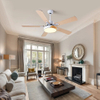 52 Inch Fan Light Dimmable Dc Motor Modern Remote Control Ceiling Fan With Light And Remote