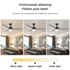 44 Inch Indoor Pull Chain Modern Led Ceiling Fan With Light KBS-44K005