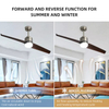 52 Inch Modern Design Air Cooling Led Ceiling Fan Light