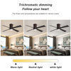 48 Inch Living Room Modern Smart Ceiling Fan With Light KBS-4836