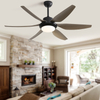 54 Inch Indoor Smart Modern Ceiling Fan With Remote Control KBS-54K002