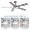 52 Inch 5 Blade DC Ceiling Fan With Light