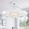 42 Inch Decorative Fancy 220v Ceiling Fan With LED Light