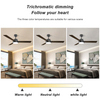 52 Inch Indoor Low Profile Modern Ceiling Fan With Light And Remote KBS-52K028