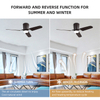 52 Inch Remote Control Led Modern Living Room Ceiling Fan For Indoor