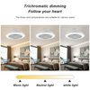 Indoor Smart Flush Mount 20 Inch Living Room Ceiling Fan With Lights