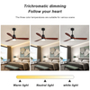 52 Inch Indoor Solid Wood Led Light Ceiling Fan KBS-5247C