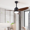 47 Inch Dc Motor Led Bedroom Remote Ceiling Fan With Light