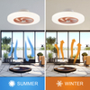 20 Inch Dc Motor Silent Ceiling Fan With Light