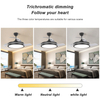 42 Inch Indoor Decorative Retractable Ceiling Fan With Light KBS-Y4265