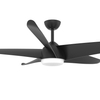 60 Inch 220V Bldc Electric Big Ceiling Fan With Light