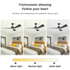 52 Inch DC AC Motor Ceiling Fan With Light And Remote Control