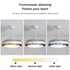 42 Inch Indoor Modern Retractable Led Ceiling Fan With Light Y42132