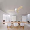 Modern Nordic Design Stylish Ceiling Fan High Quality Energy-saving Ceiling Fan With Remote Control