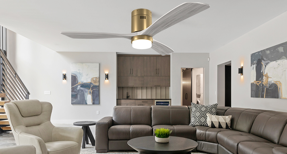 Ceiling Fans with Light