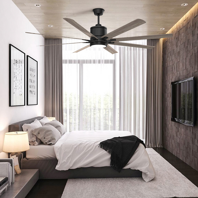 Modern Ceiling Fan