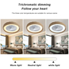 Low Profile Decorative Led Modern Ceiling Fan For Bedroom KBS-24K001