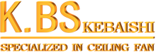 KBS logo