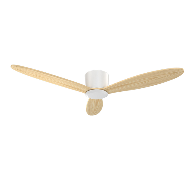 Modern Nordic Design Stylish Ceiling Fan High Quality Energy-saving Ceiling Fan With Remote Control