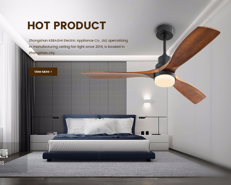 hot products of ceiling fan