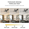 High Quality 3 solid wood Blades Morden Smart Ceiling Fan With Light And Remote Control