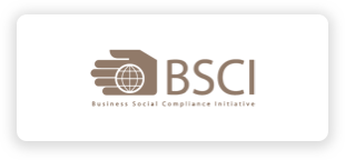 certificate of BSCI