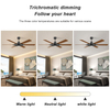 52 Inch 6 Blade Large Industrial Ceiling Fan Morden Minimalist Bldc Ceiling Fan With Light And Remote Control KBS-52K186