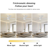 New Design High Quality Ceiling Fan 52 Inch 5 Blades Smart Ceiling Fan With Light And Remote Control