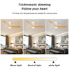 High End Luxury Ceiling Fans Modern Design 52 Inch 3 Blade Ceiling Fan With Light And Remote Control KBS-52K185