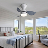 Indoor Decorative Smart Modern Ceiling Fan For Bedroom KBS-22K001