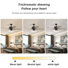 48 Inch Indoor Decorative Modern Ceiling Fan With Remote Control KBS-48K002