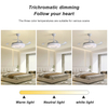 Modern Europe Style 42 Inch Indoor Energy Saving Decorative Ceiling Fan Light with Remote Control