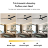 52 Inch Indoor Modern Decorative Ceiling Fan With LED Light And Remote Control KBS-52K170