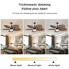 52 Inch Indoor Outdoor Modern Rattan Decorative Ceiling Fan With Light KBS-5228D