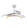 Indoor Retractable Decorative Ceiling Fan With Light KBS-Y42196