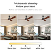 52 Inch Extra Large Ceiling Fan Black Color Minimalist Ceiling Fan With Light That's Worked Like Air Condition