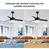 Smart 42 Inch Dimmable Modern Ceiling Fan With Light KBS-4241