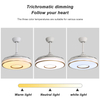 Indoor 42 Inch Smart Retractable Led Ceiling Fan With Light KBS-Y42116