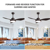 Indoor 3 ABS Blades Smart Ceiling Fan With Light KBS-4703