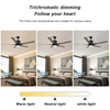 52 Inch Remote Control Smart Modern Led Ceiling Fan KBS-52236