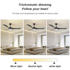 Energy-Saving Ceiling Fan 3 Blades Morden Decorative Hotel Home Indoor Ceiling Fan With Light And Remote Control