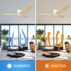 Modern Nordic Design Stylish Ceiling Fan High Quality Energy-saving Ceiling Fan With Remote Control