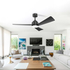 52 Inch DC AC Motor Ceiling Fan With Light And Remote Control